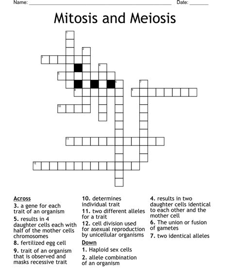 Cell produced by meiosis crossword clue - Answers for cell produced by misos crossword clue, 6 letters. Search for crossword clues found in the Daily Celebrity, NY Times, Daily Mirror, Telegraph and major publications. Find clues for cell produced by misos or most any crossword answer or clues for crossword answers. 